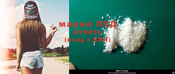 прущие грибы Пестово