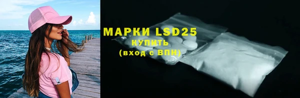 прущие грибы Пестово