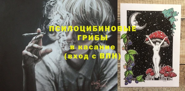 сатива Переславль-Залесский