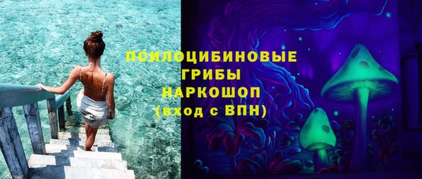 крисы Пересвет