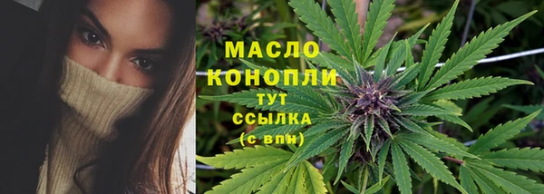 дмт Абаза